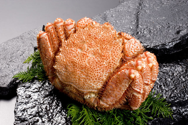 (2525-01)【北海道産】 毛がに 1尾約500g